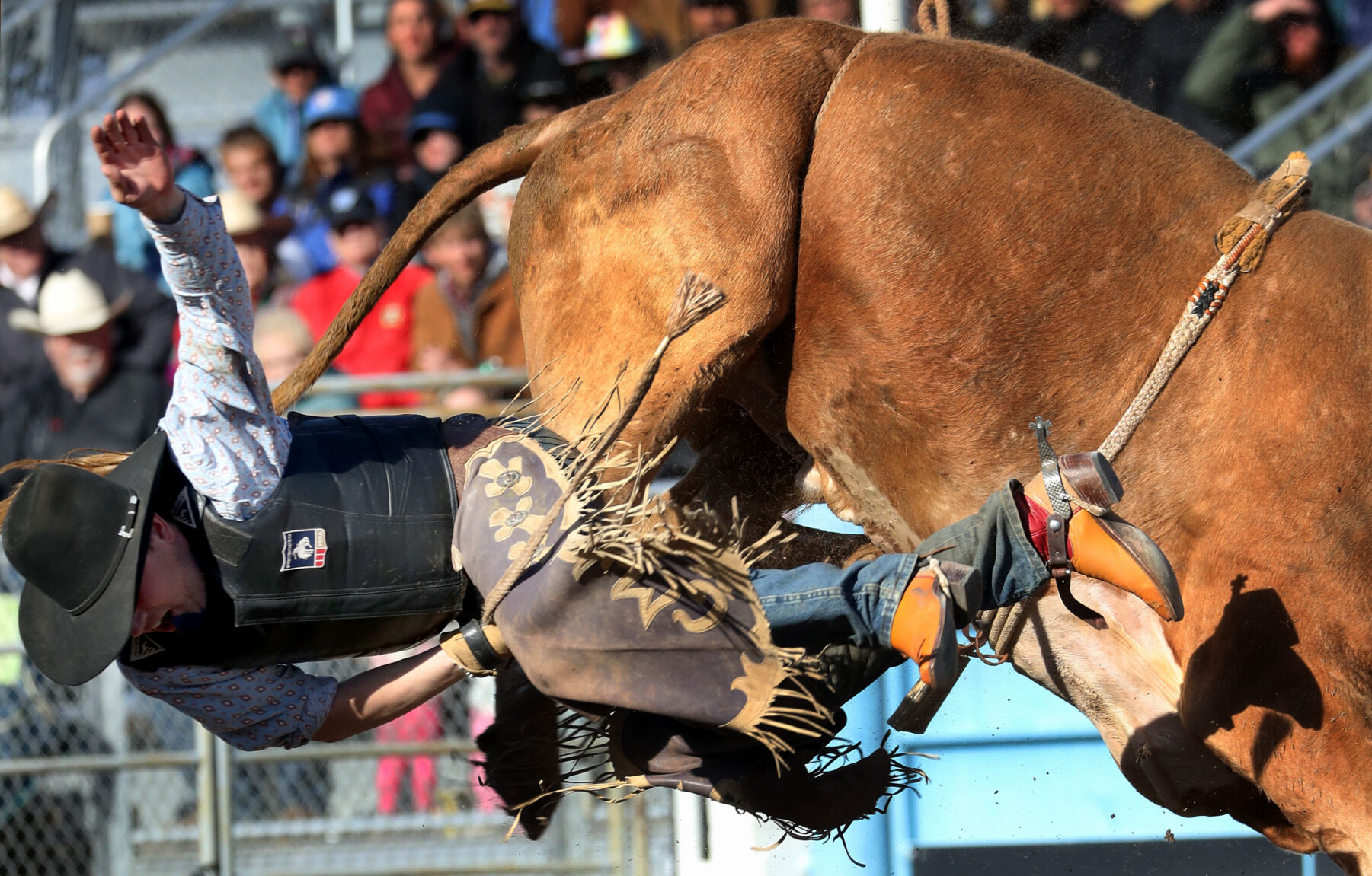 Fiesta de los Vaqueros Tucson Rodeo